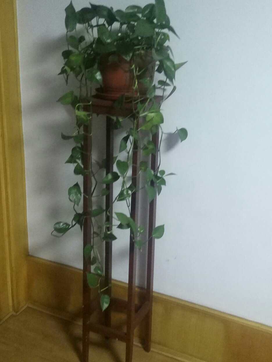 头像图片