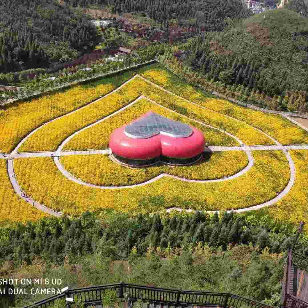 头像图片