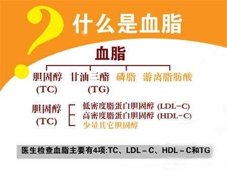 甘油三酯、胆固醇会产生血管垃圾，是不是降得越低越好？