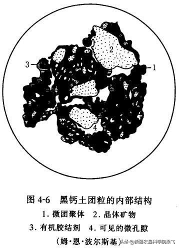 如何提高土壤有機質(zhì)，實現(xiàn)藏糧于地？