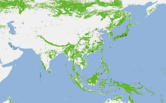 中国让地球更绿，2019年造林706.7万公顷，对2020年有什么影响？