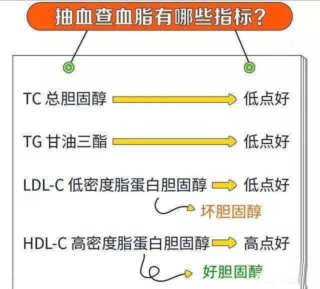 医生的舅舅血脂胆固醇升高！医生建议先不要吃降脂药！