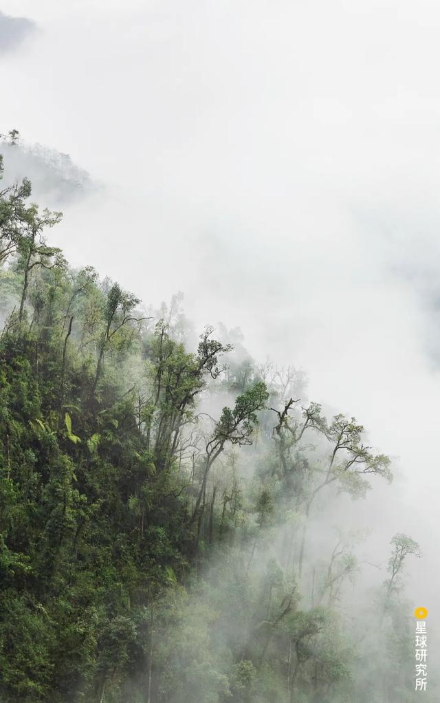 高黎贡山，因何伟大？