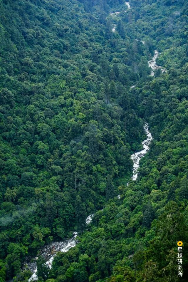 高黎贡山，因何伟大？