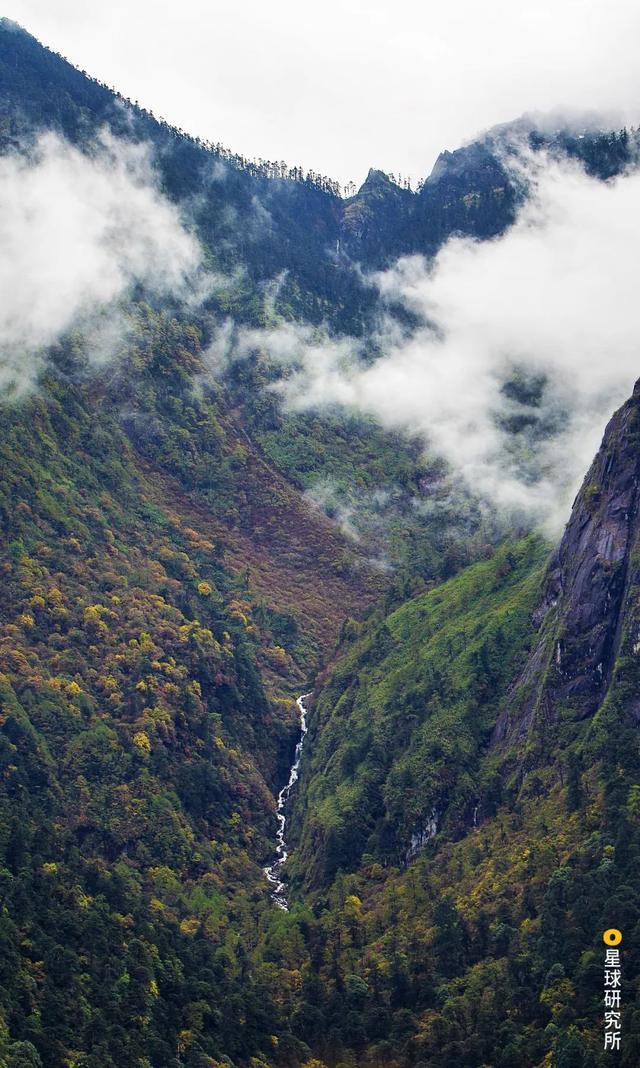 高黎贡山，因何伟大？