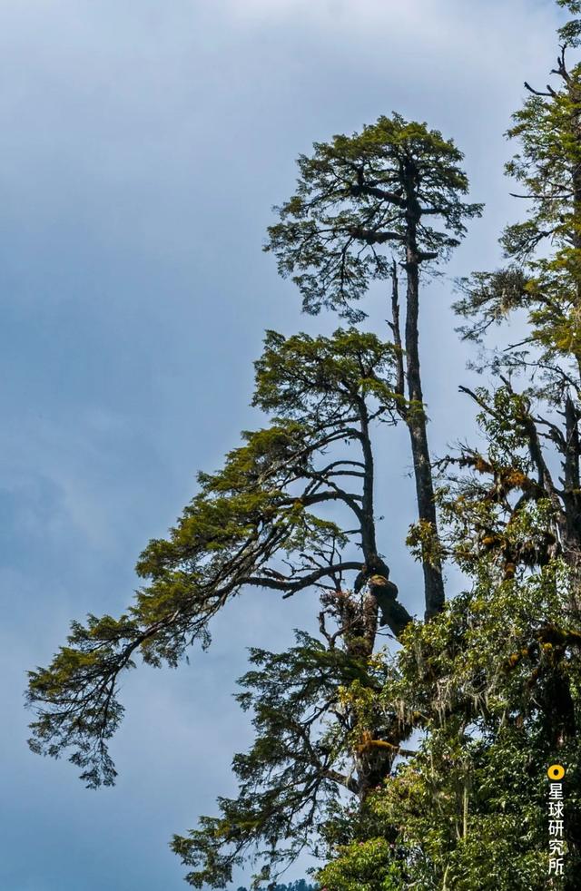 高黎贡山，因何伟大？