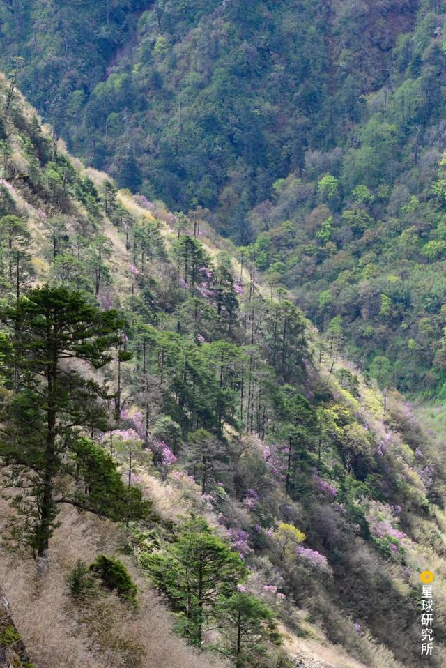 高黎贡山，因何伟大？