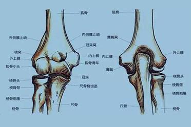 孩子滑滑板车，摔倒就导致胳膊骨折了，这可怎么办？