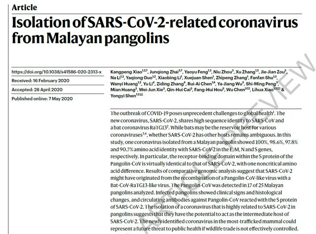 Nature发布最新研究：自马来穿山甲分离出新冠病毒