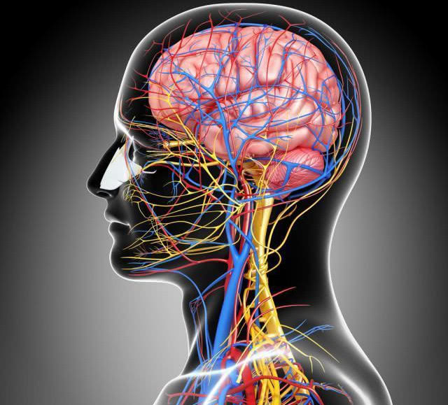 其中,重点强调了围麻醉期的脑血管意外与日常的脑血管意外的表现是不