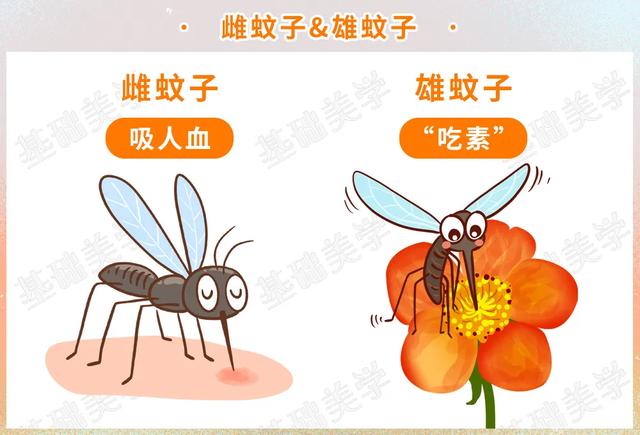 啊啊啊啊啊，为什么蚊子就咬我就咬我