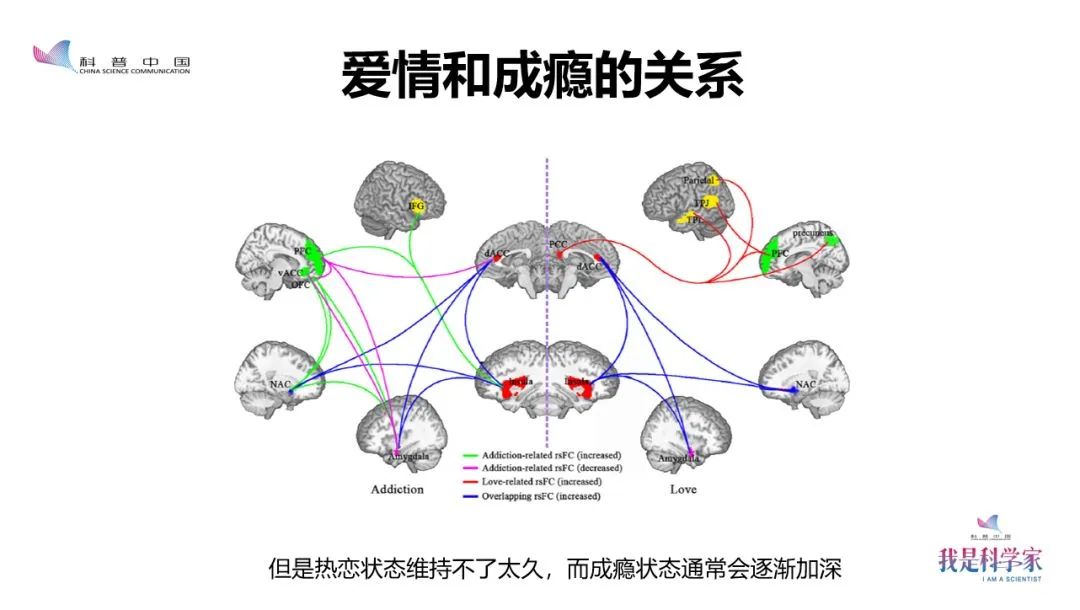 张效初爱情和抽烟事关大脑和上瘾