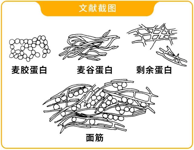 高中低筋面粉，哪种包饺子哪种做糕点？看完这篇你就明白了