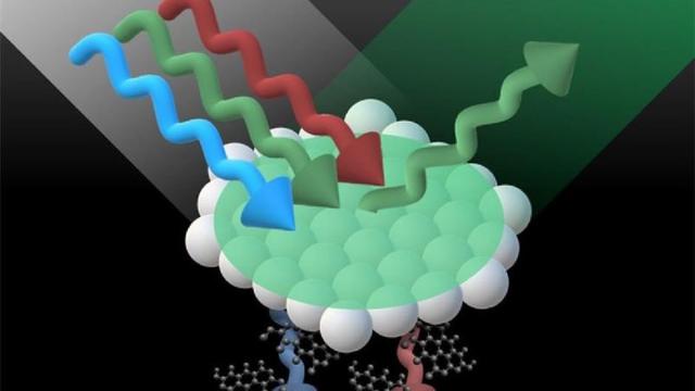 高压下量子自旋液体出现？对身高影响最大的基因突变 | 科技速览