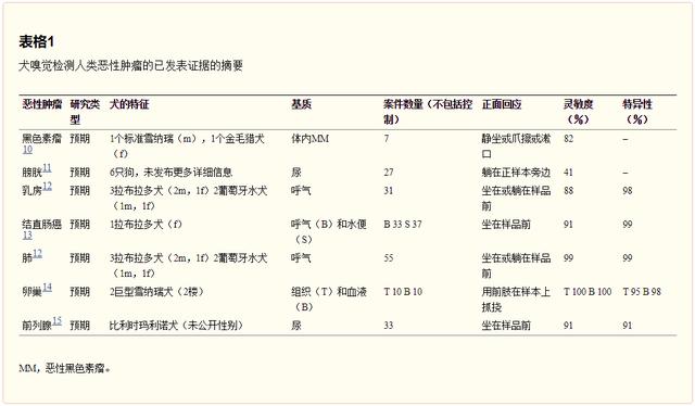 惊了！“狗医生”癌症检测准确率竟然高达97%