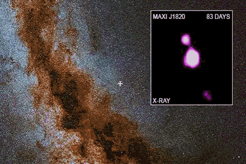 一万年只发生一次，科学家捕捉到罕见的黑洞吞噬恒星的图像