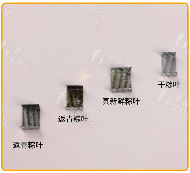 端午吃粽，請警惕這種粽葉