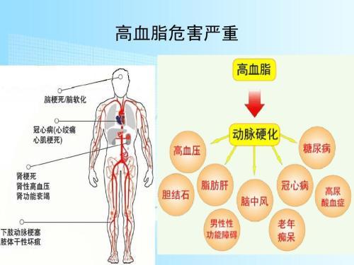 血糖和血脂化验单常有好几项！医生手把手教您看血糖血脂化验单