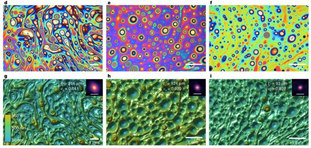 肥皂泡只能用来吹？在肥皂膜中，物理学家看见瑰丽场景
