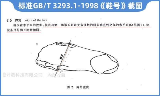 明明是同个鞋码，为什么鞋的大小还不一样