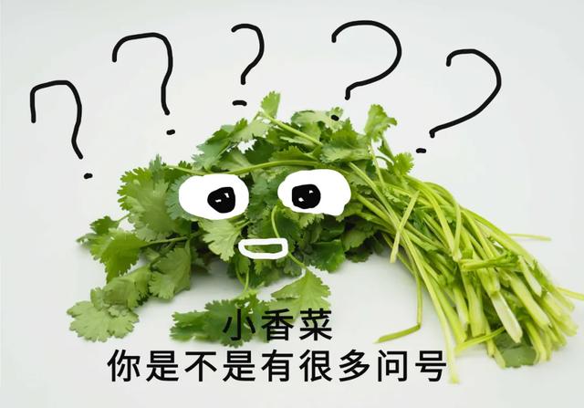 不吃香菜是许多成年人最后的倔强