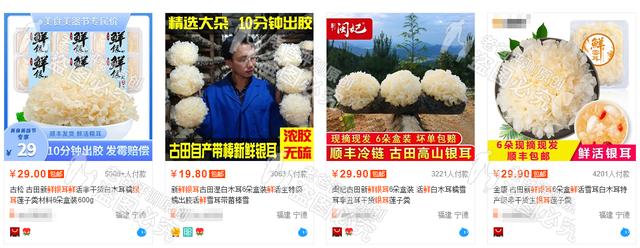 友情提示：珍爱生命，远离鲜银耳