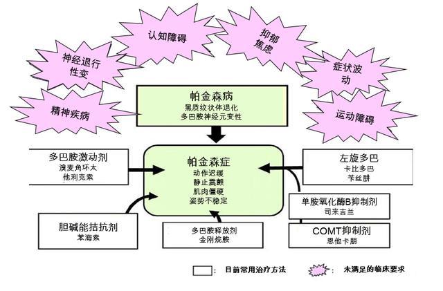 功能医学指导下的帕金森病预防的5点建议