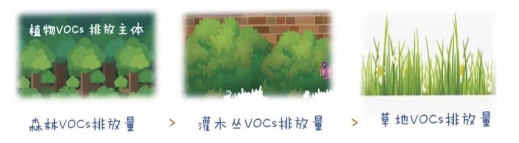 响晴薄日臭氧为何成了首要污染物？它们的来源你可能想象不到
