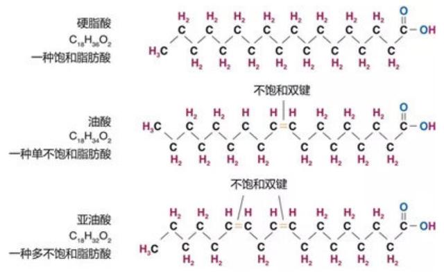 哪种食用油最健康？| 117三人行