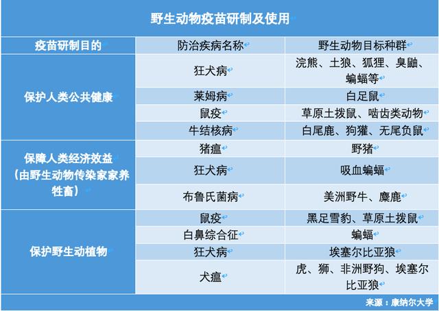 防疫新思路：把疫苗打给野生动物