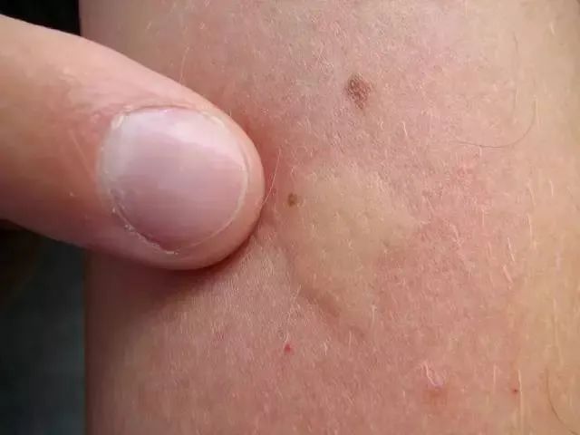 学术资讯 - 科技工作者之家