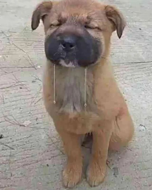 生活科普在公厕坑位前吐口水的究竟是什么人