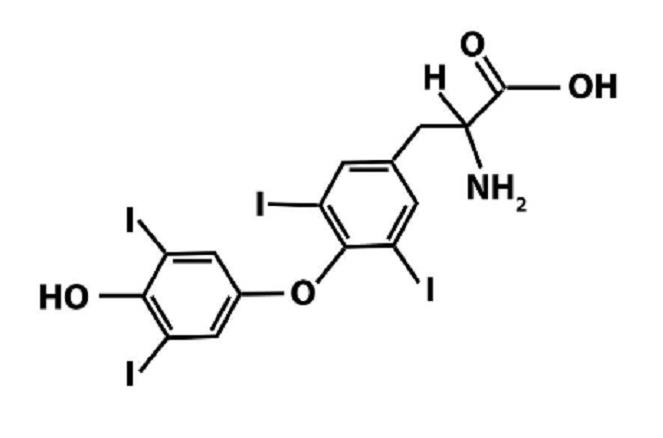 甲状腺功能减退了，应该怎么办？