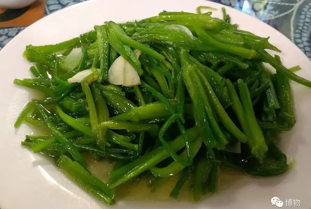 这么纯洁的花你们竟然叫它水性杨花