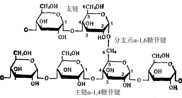 用地瓜制作可降解薄膜 淀粉不够“直”怎么办？