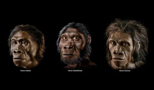 500万年来已有5个人类物种灭绝最后一个也快了