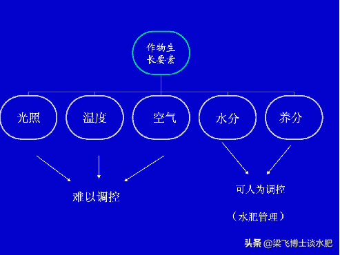 科學(xué)施肥三問答：為什么施肥？如何施肥？何時施肥？