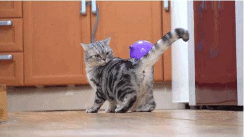 今日好奇化纤衣服啊怎么起静电的老是你