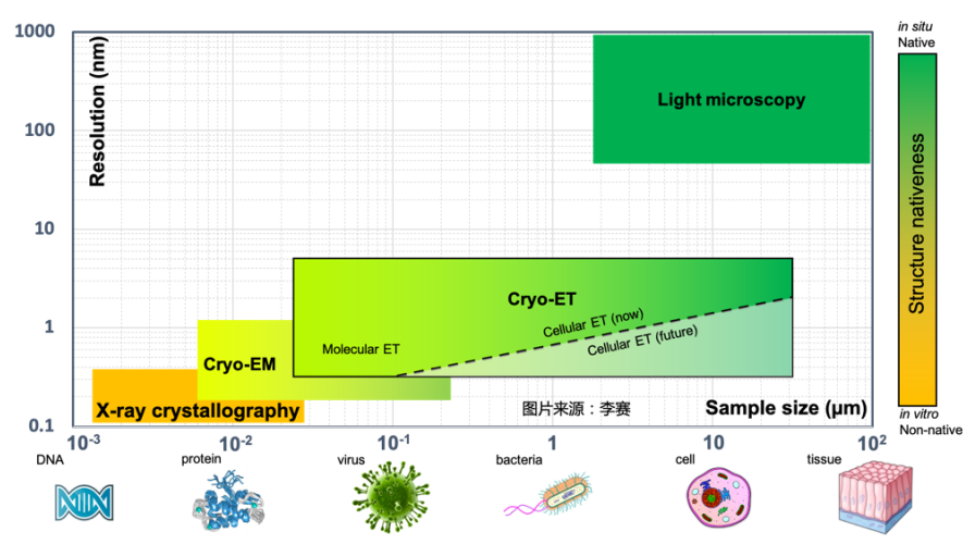 结构生物学的下一个突破：cryo-ET