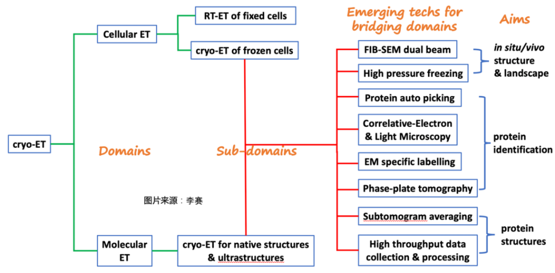 结构生物学的下一个突破：cryo-ET