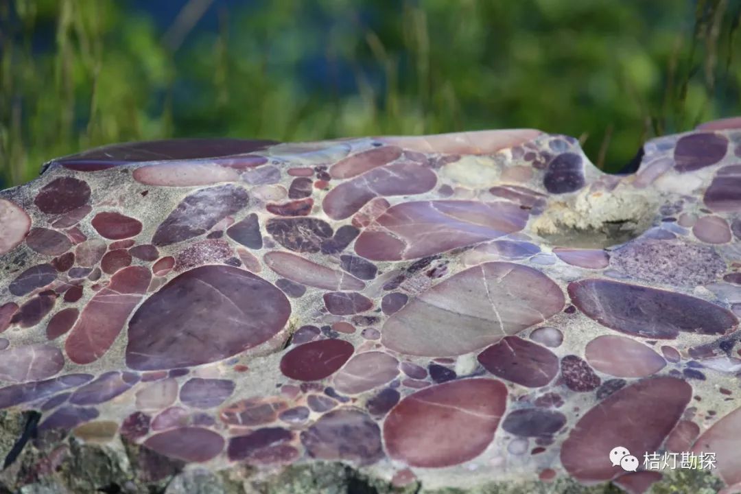 自然科普经典地质图集彻底搞明白碎屑岩