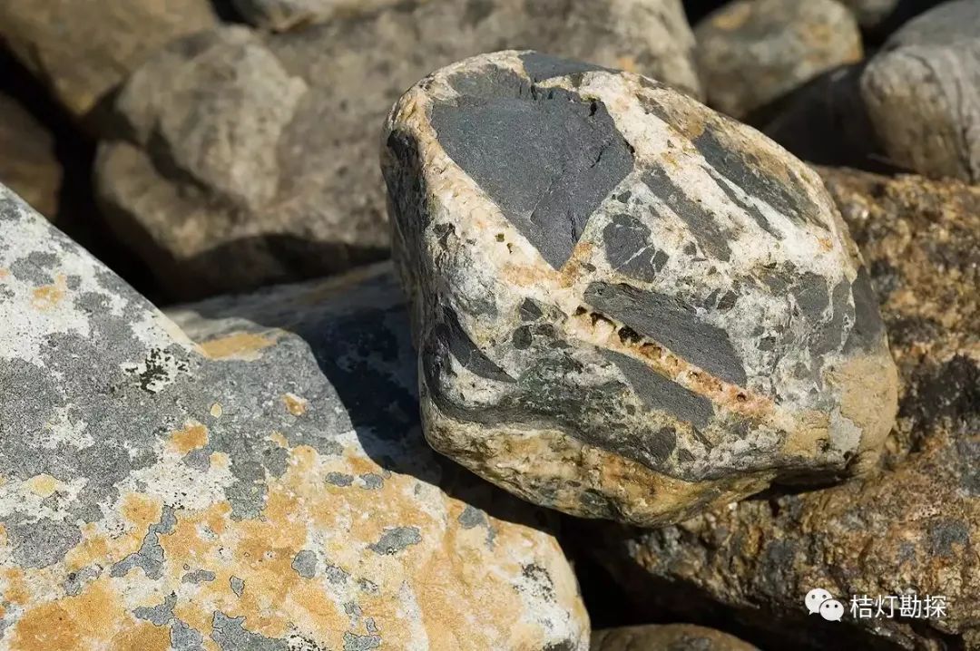 自然科普经典地质图集彻底搞明白碎屑岩