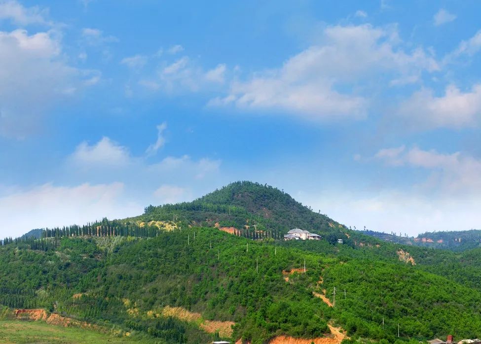 自然这个四不像为达尔文进化论再添实锤