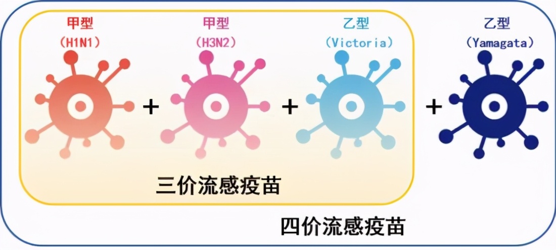 往年需求平平，今年一针难求，新冠疫情之下流感疫苗该怎么打？