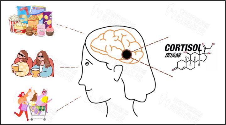 女生是不是比男生更贪吃一点？