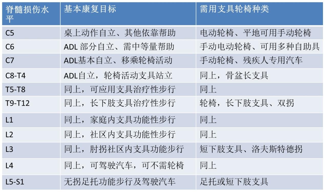 脑机接口先驱科学家尼科莱利斯：马斯克的心灵感应、数字永生都是营销