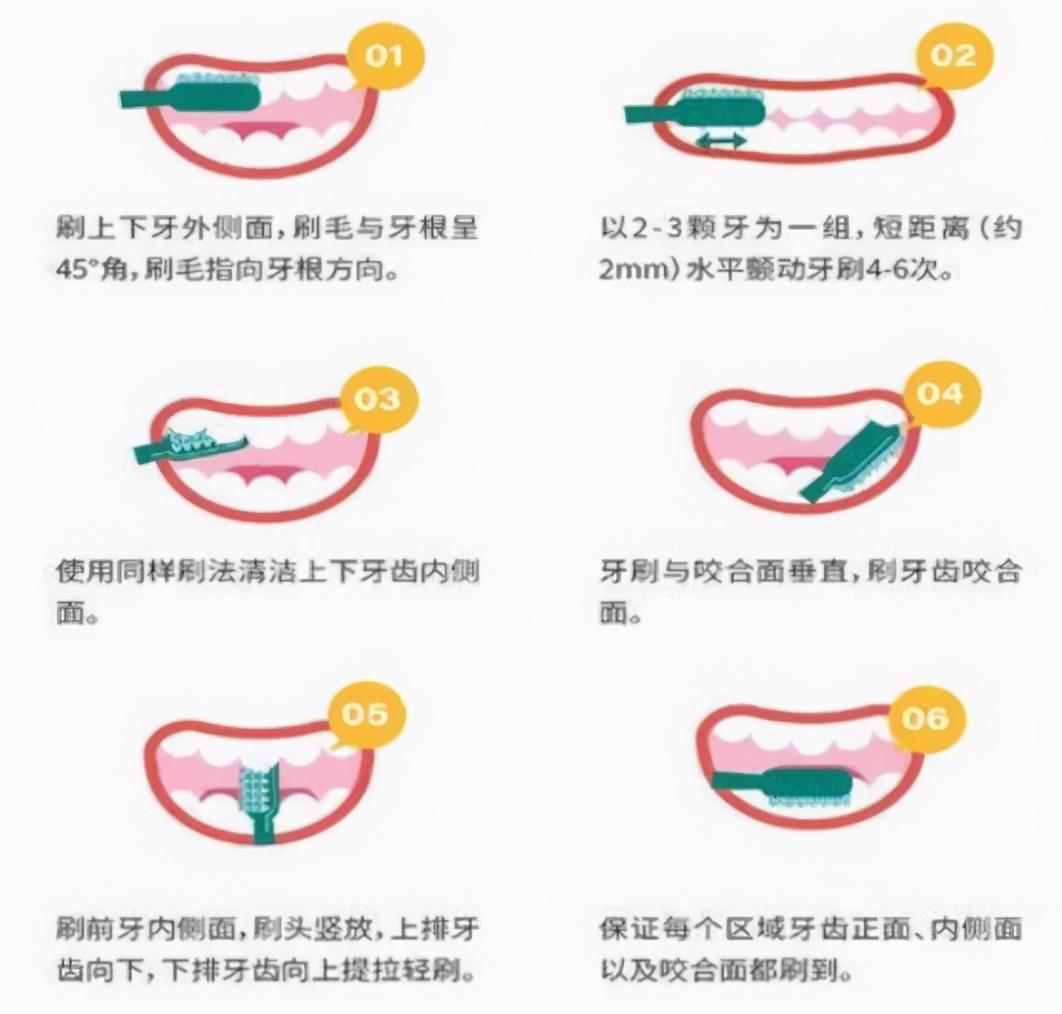 火爆的电动牙刷：必需品还是智商税？