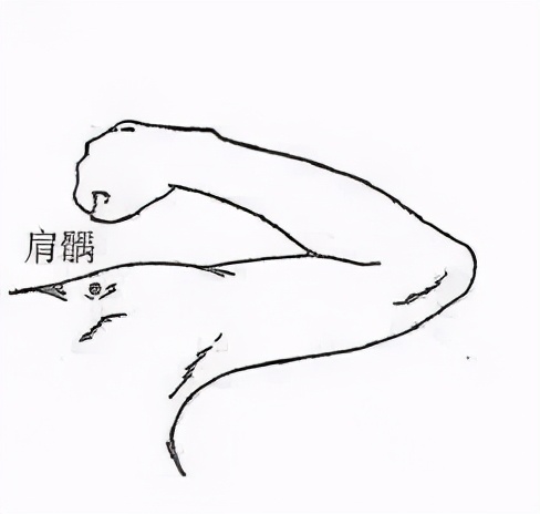 脖子酸、肩颈痛？按按这3处，轻松缓解