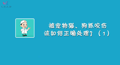 小猫虽然可爱粘人，但是被猫抓伤咬伤不可大意