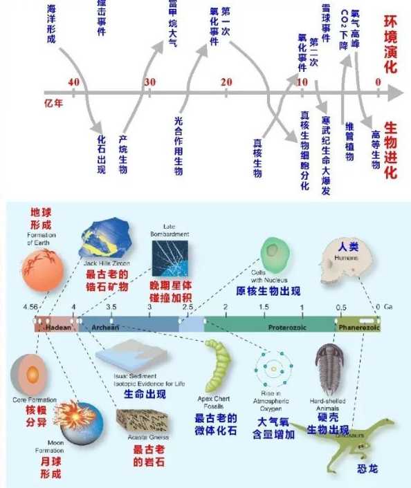 人类为什么要研究恐龙？意义在哪里？